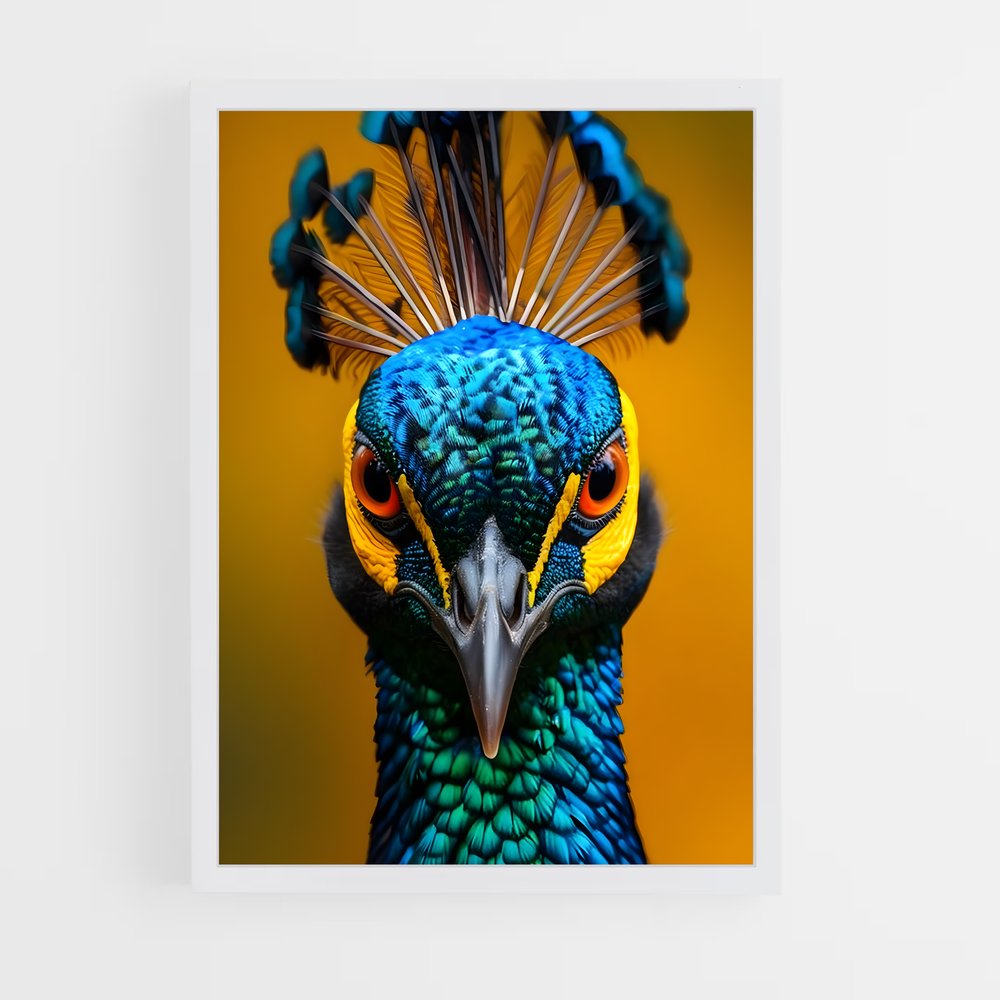 ap-peacock-8 cadre Blanc