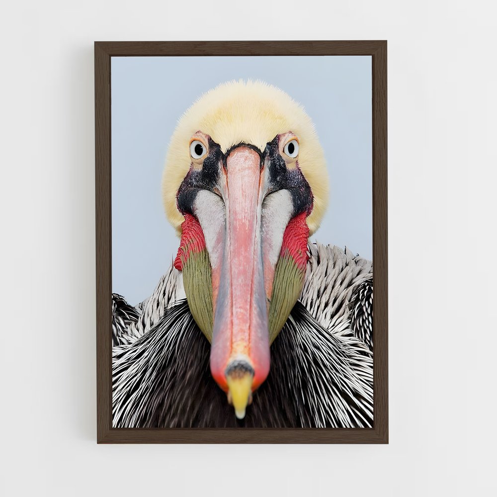 ap-pelican-3 cadre Bois foncé