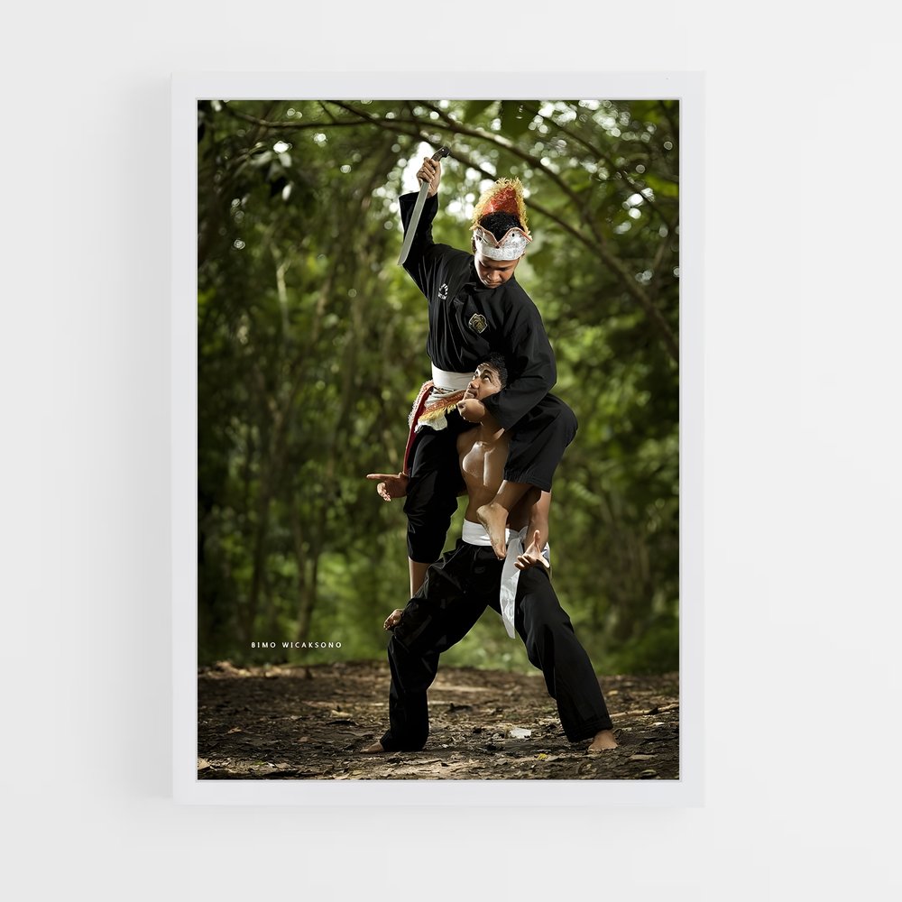 ap-pencak silat-3 cadre Blanc