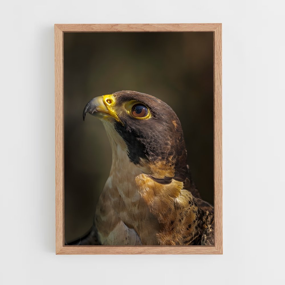 ap-peregrine falcon-1 cadre Bois clair