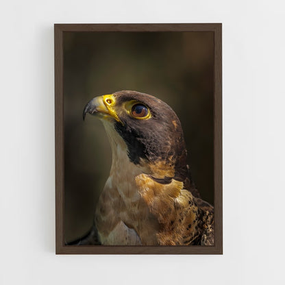 ap-peregrine falcon-1 cadre Bois foncé