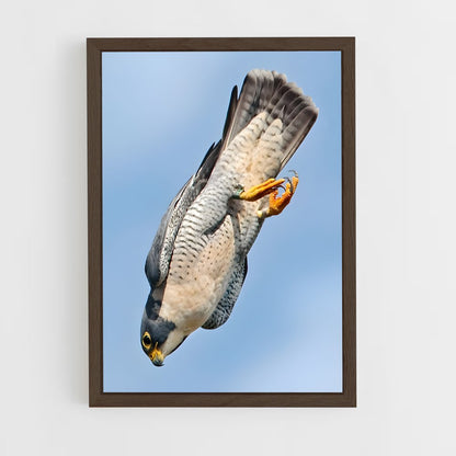 ap-peregrine falcon-2 cadre Bois foncé