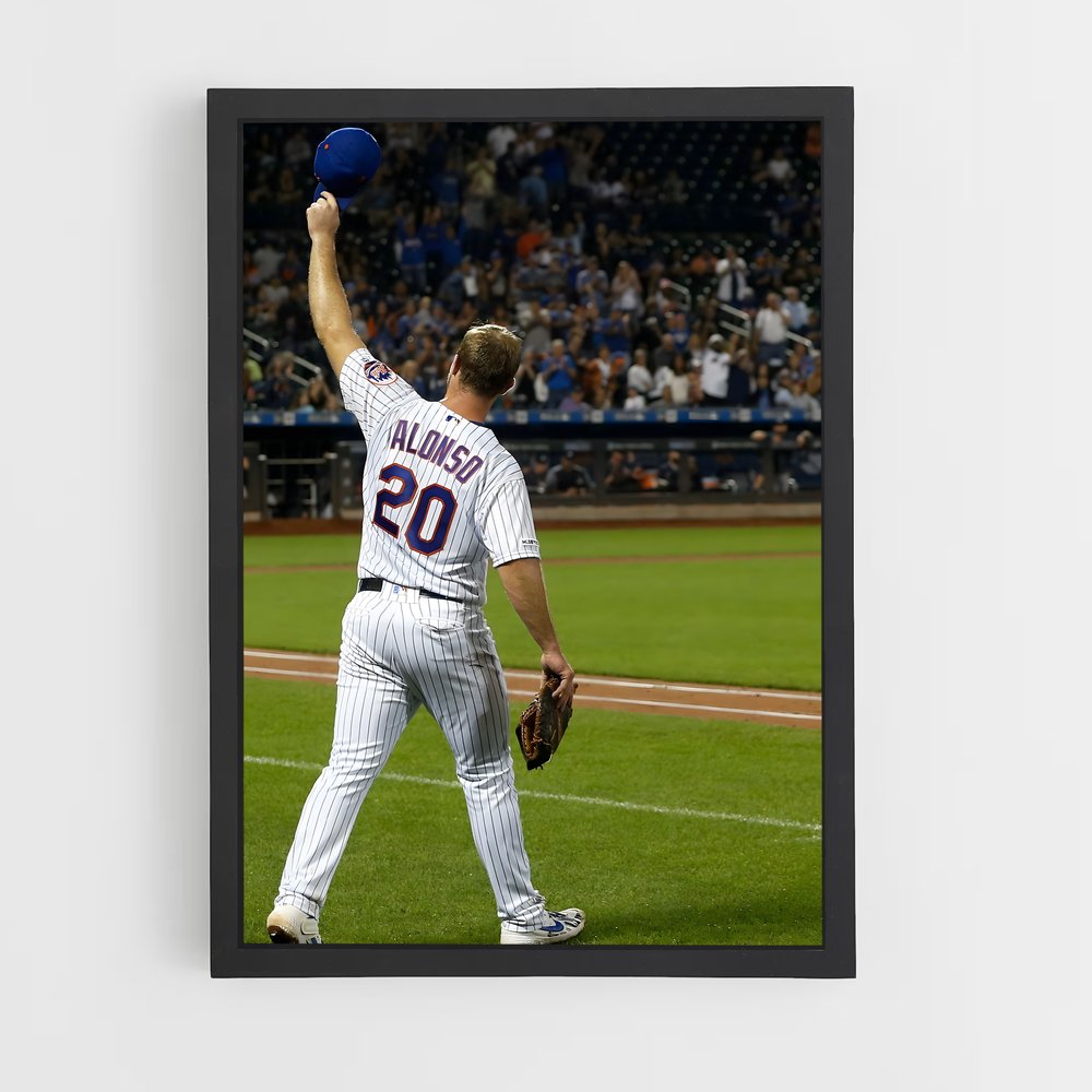 ap-pete alonso-3 cadre Noir
