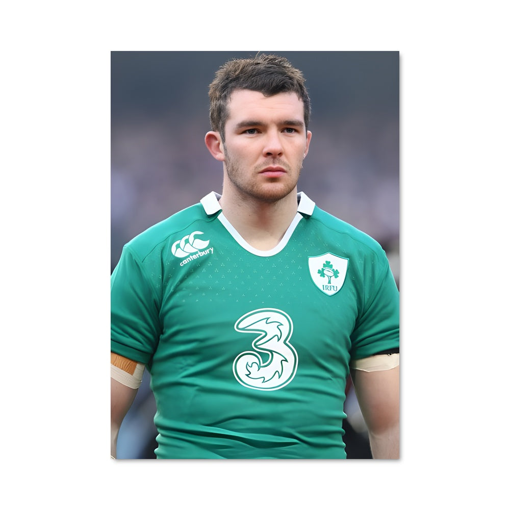 Poster Le Loup de Dublin