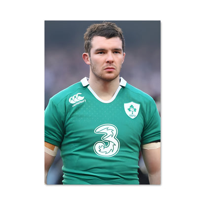 Poster Le Loup de Dublin