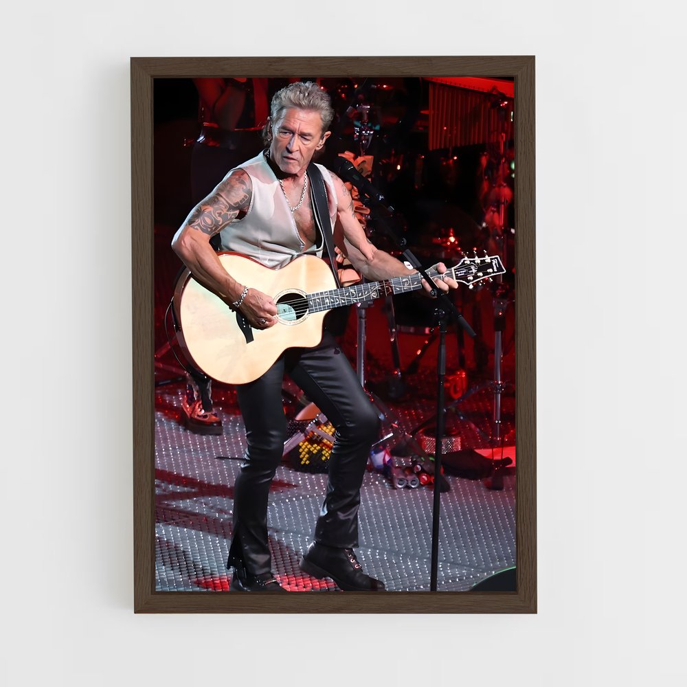 ap-peter maffay-5 cadre Bois foncé