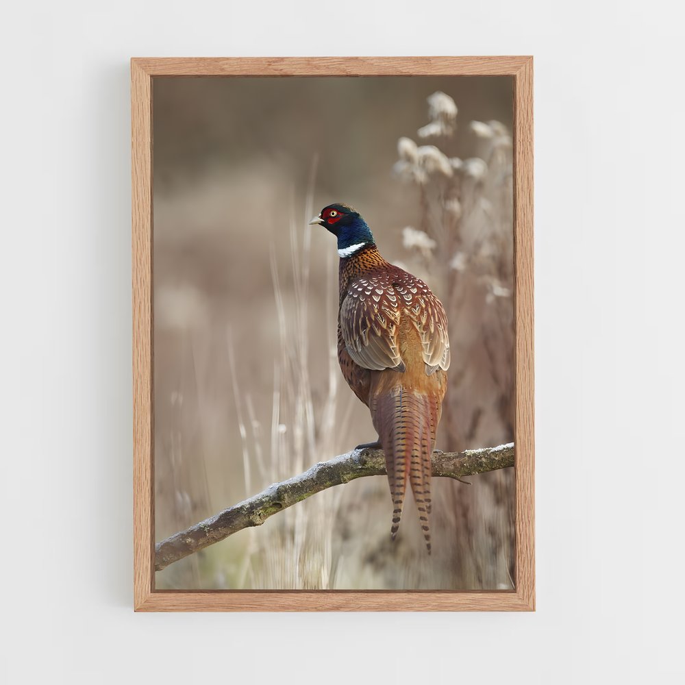 ap-pheasant-3 cadre Bois clair