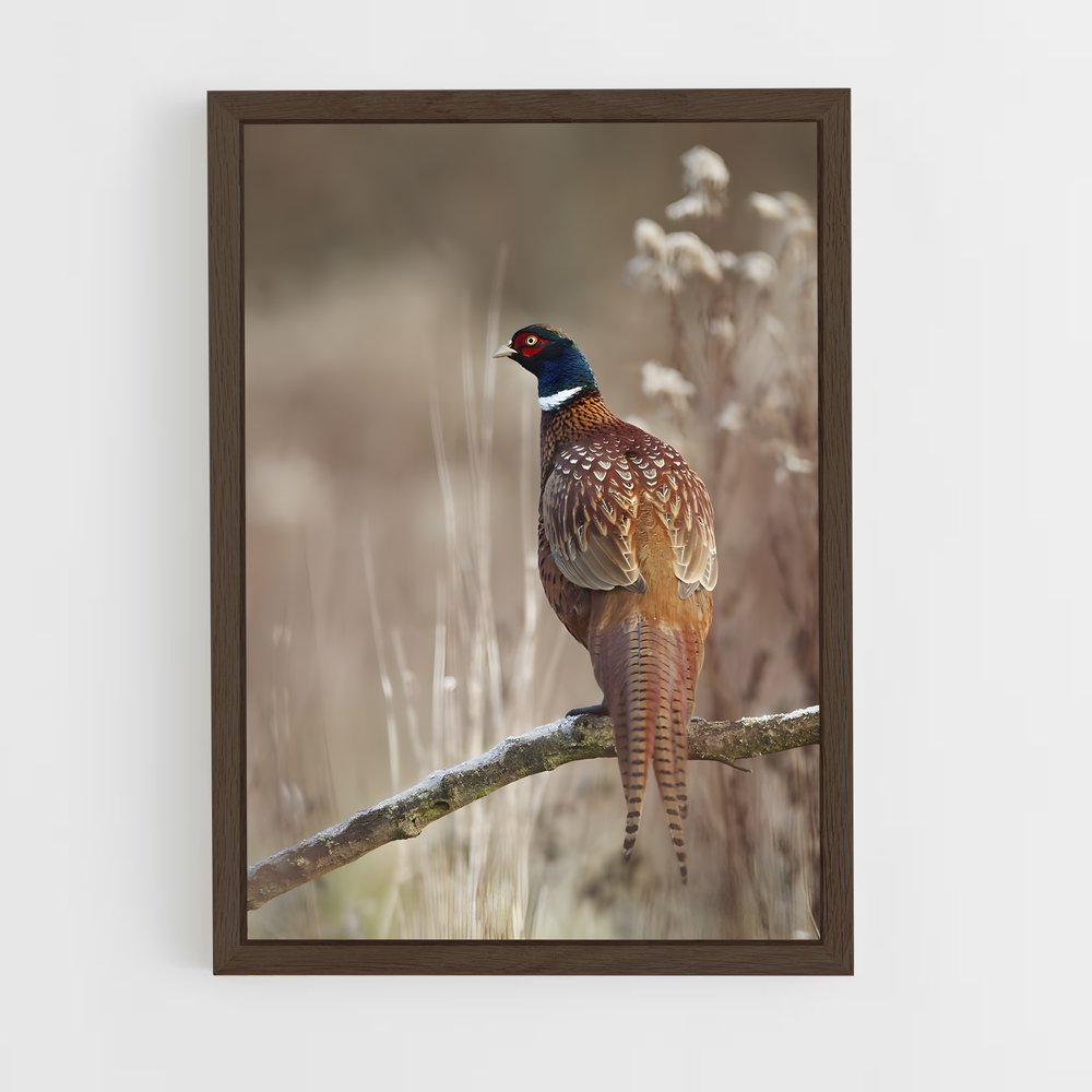 ap-pheasant-3 cadre Bois foncé