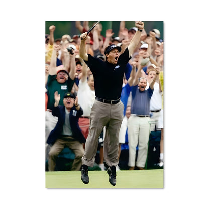 Poster Phil mickelson 66334