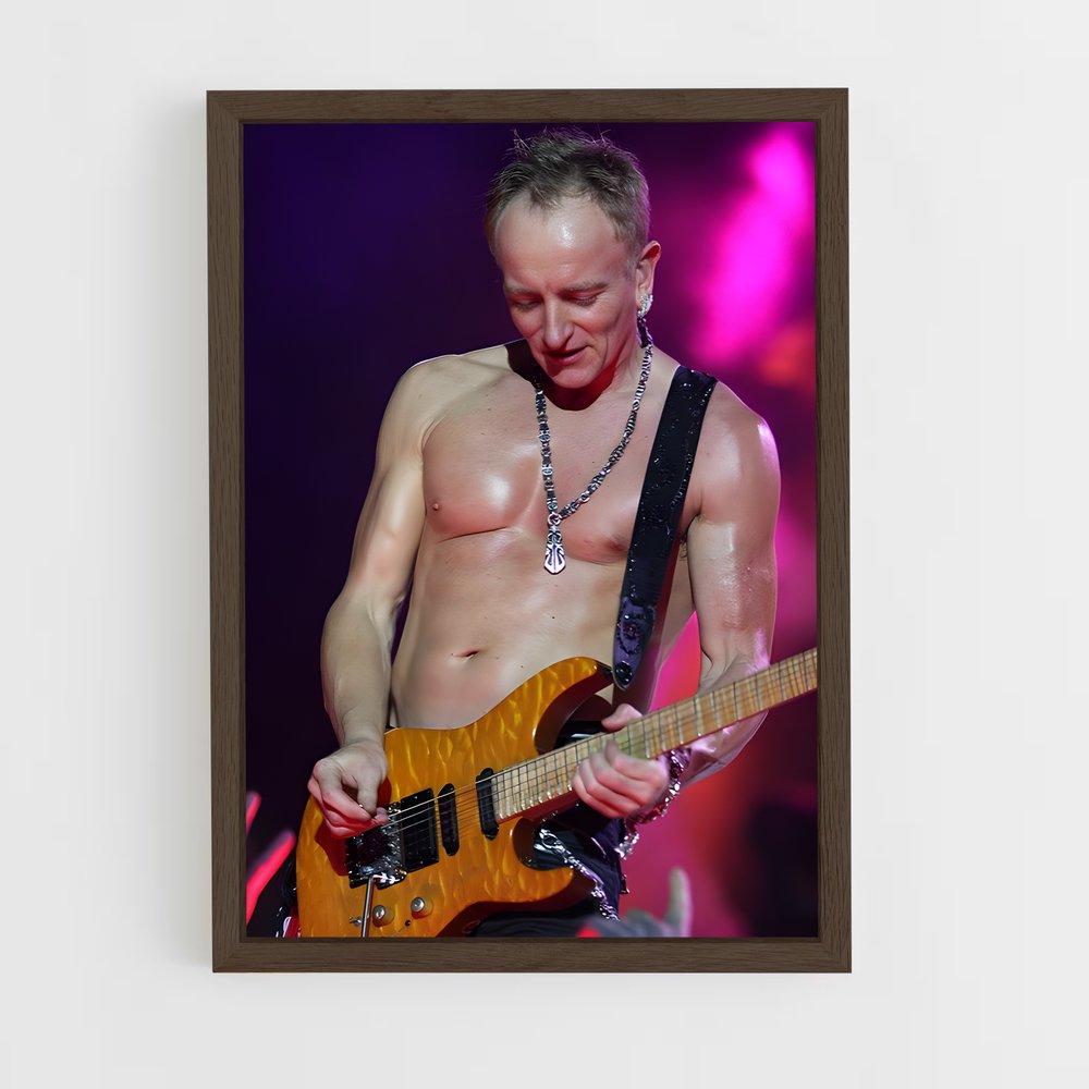 ap-phil collen-3 cadre Bois foncé
