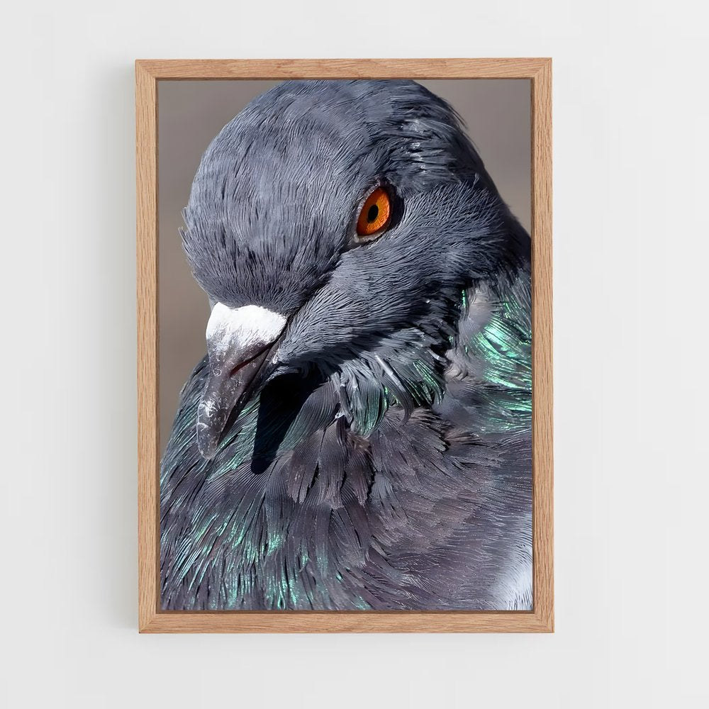 ap-pigeon-2 cadre Bois clair