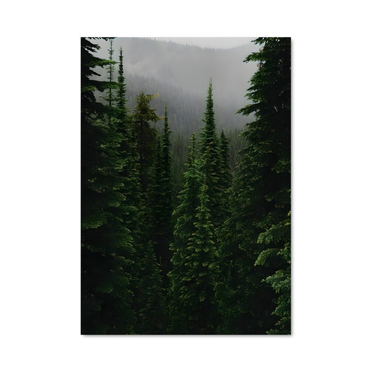 Poster Pine forest 94979