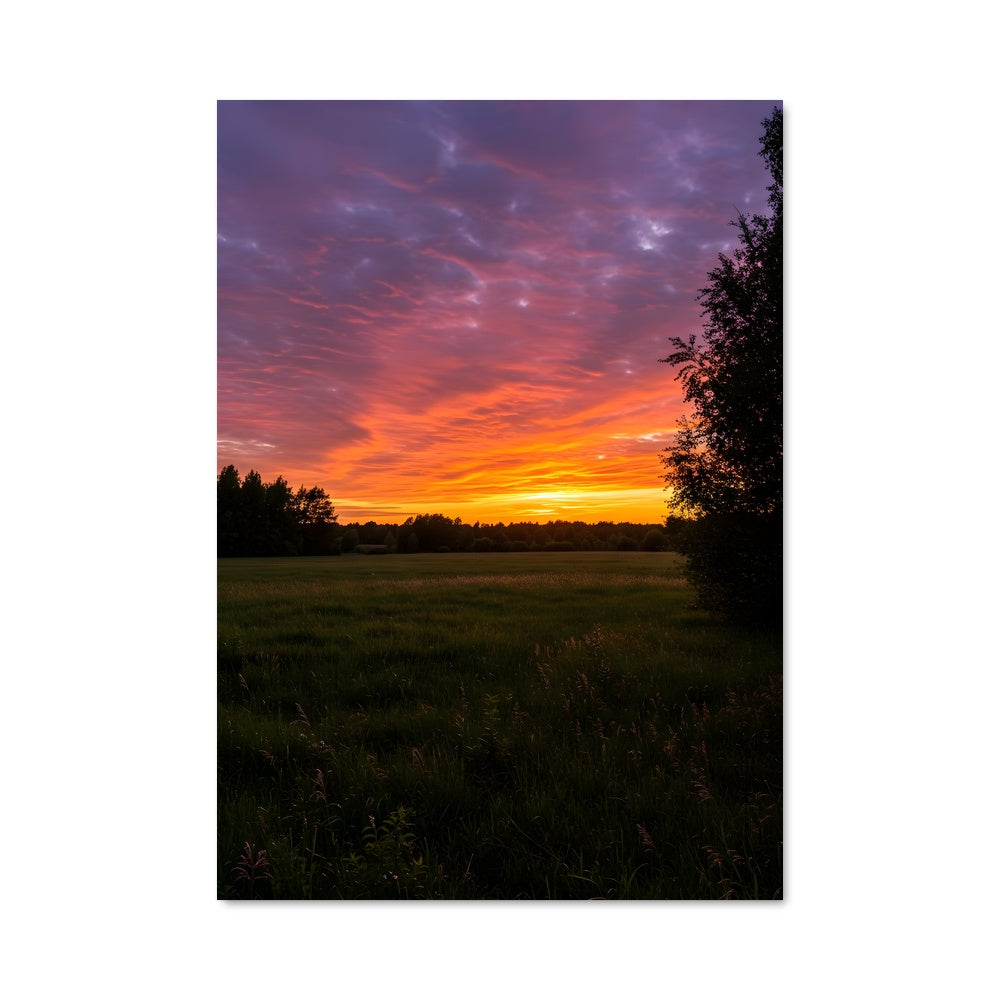 Poster Crépuscule Enchanté