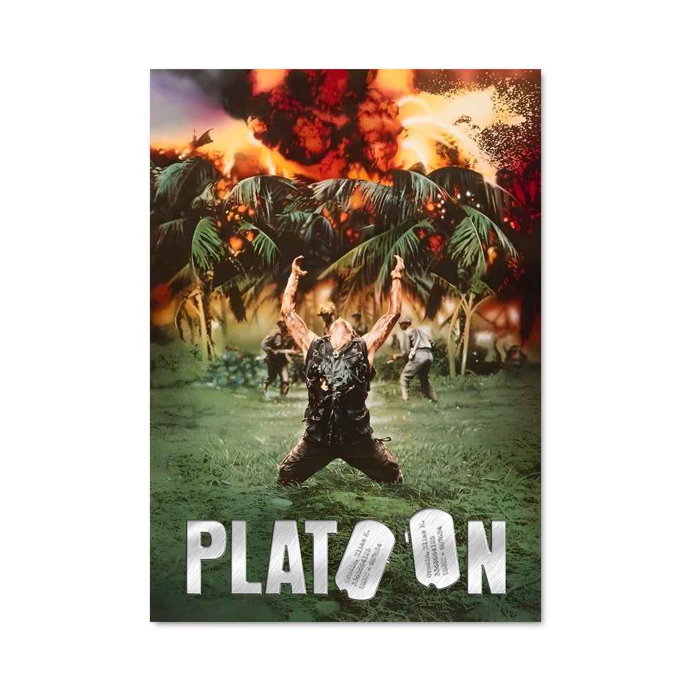 Poster Vietnam en Flammes