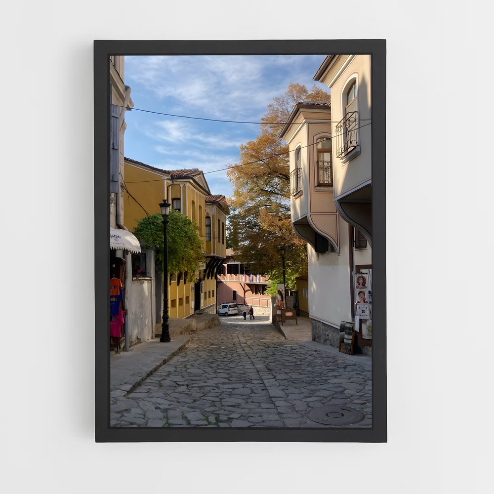 ap-plovdiv-4 cadre Noir