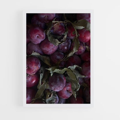 ap-plum-10 cadre Blanc