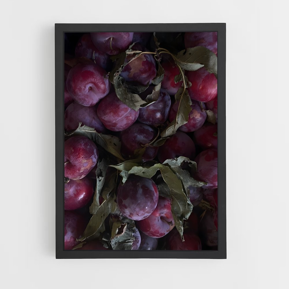 ap-plum-10 cadre Noir