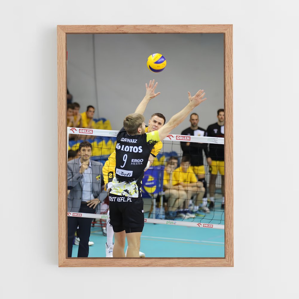 ap-plusliga poland-1 cadre Bois clair