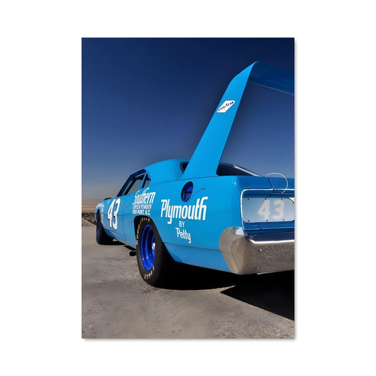 Poster Plymouth 79152