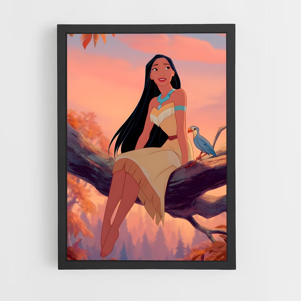 ap-pocahontas-2 cadre Noir