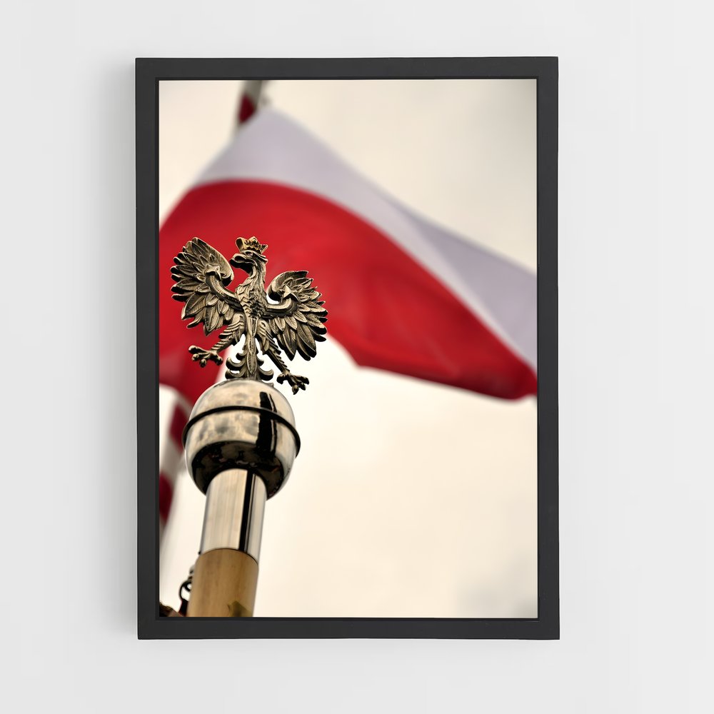 ap-poland flag-2 cadre Noir