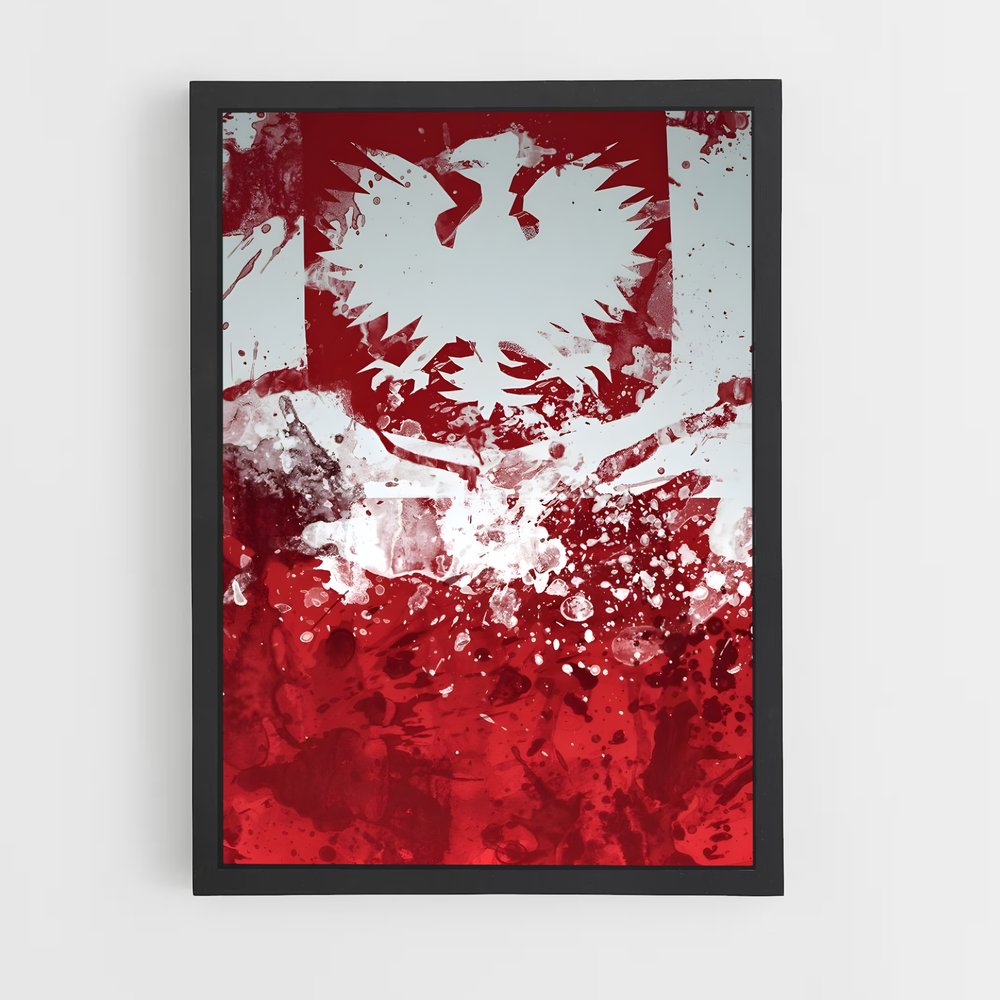 ap-poland flag-3 cadre Noir