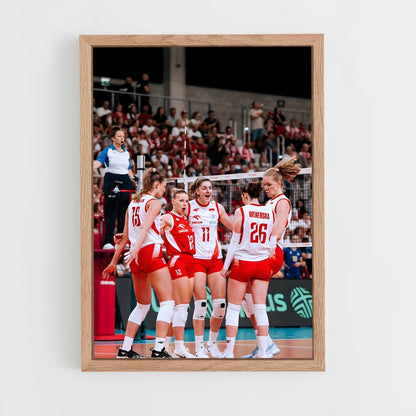 ap-poland national volleyball team-3 cadre Bois clair