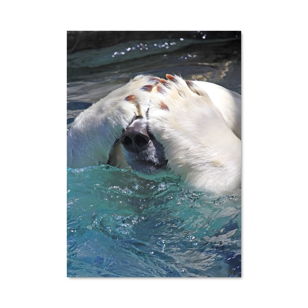 Poster Polar bear 84149