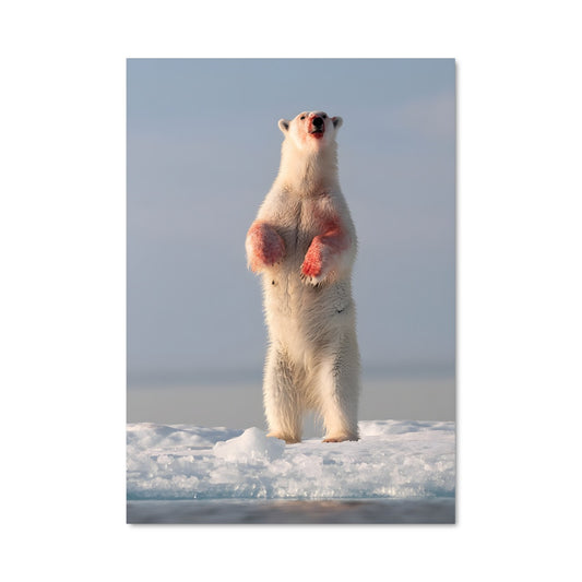 Poster Majesté des Glaces