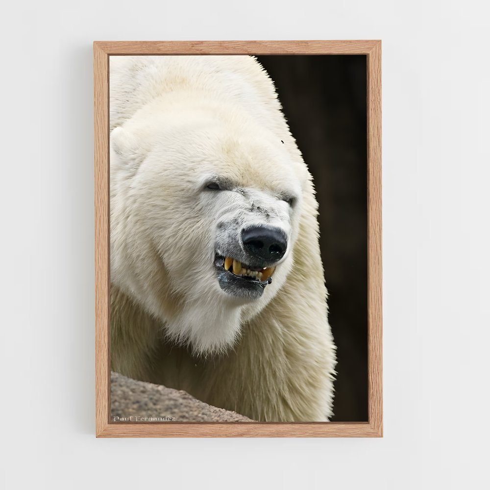 ap-polar bear-12 cadre Bois clair