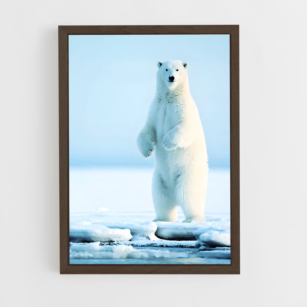 ap-polar bear-3 cadre Bois foncé