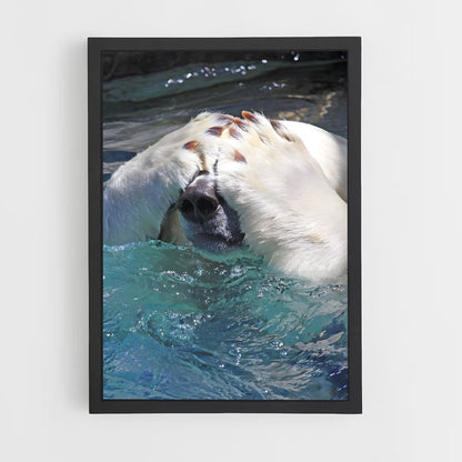 ap-polar bear-5 cadre Noir