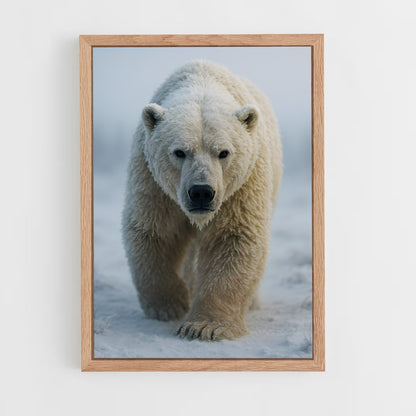 ap-polar bear-6 cadre Bois clair