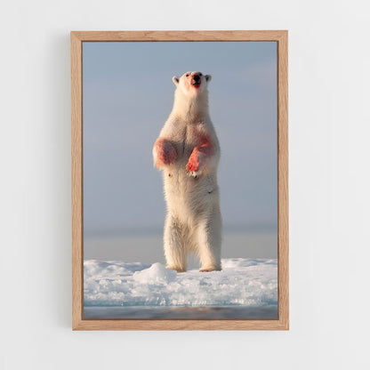 ap-polar bear-7 cadre Bois clair
