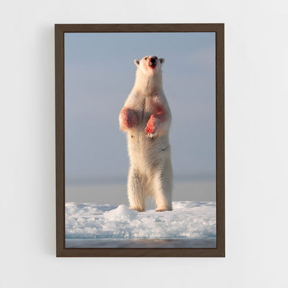 ap-polar bear-7 cadre Bois foncé