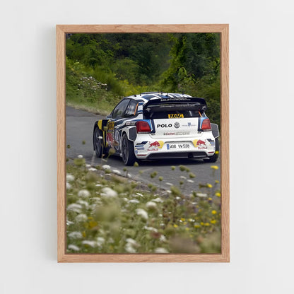 ap-polo wrc-4 cadre Bois clair
