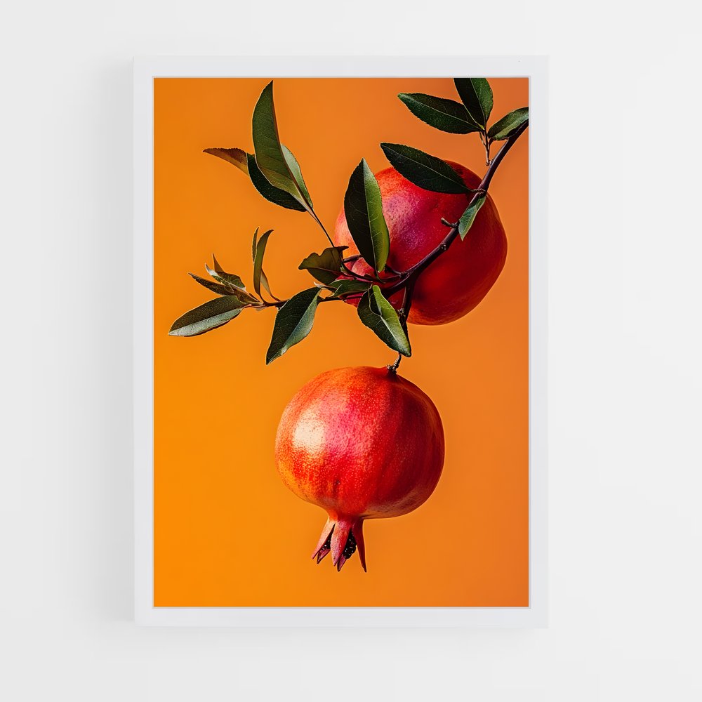 ap-pomegranate-14 cadre Blanc