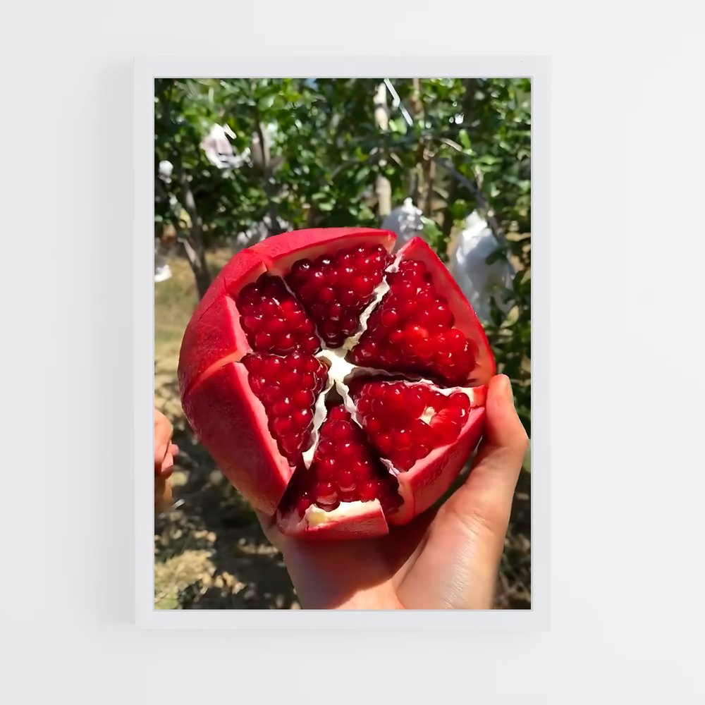 ap-pomegranate-8 cadre Blanc