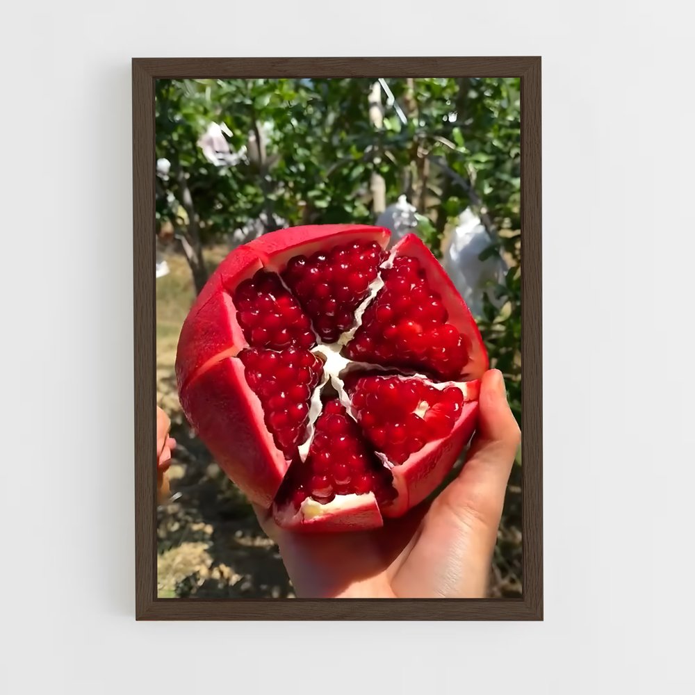 ap-pomegranate-8 cadre Bois foncé
