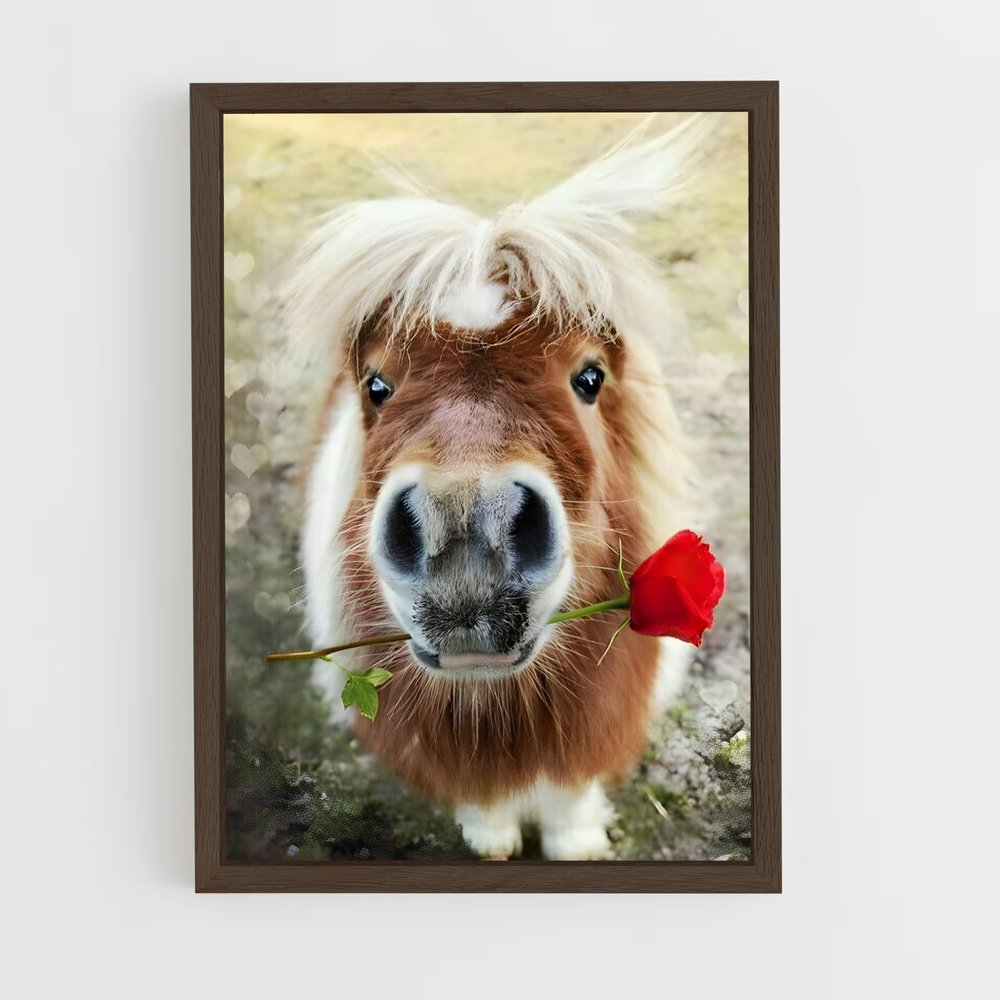 ap-pony-1 cadre Bois foncé