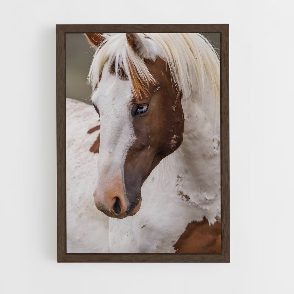 ap-pony-4 cadre Bois foncé