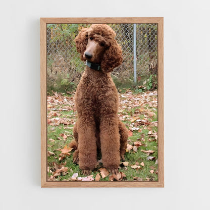 ap-poodle-1 cadre Bois clair