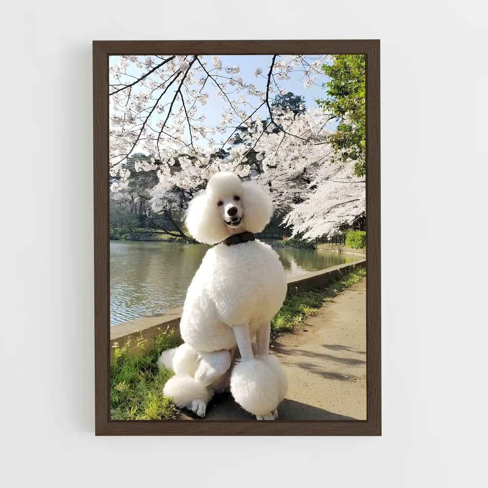 ap-poodle-2 cadre Bois foncé