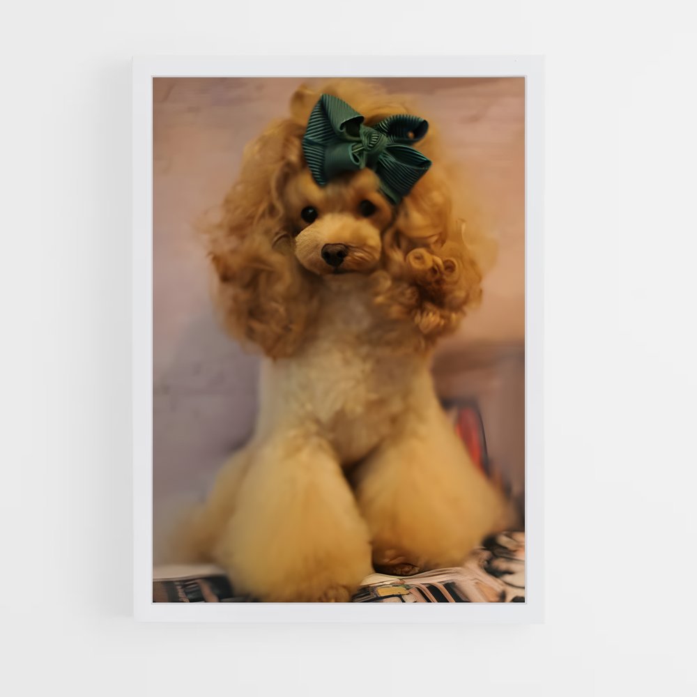 ap-poodle-4 cadre Blanc