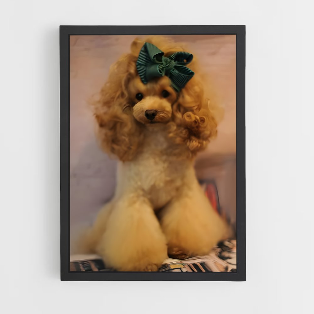 ap-poodle-4 cadre Noir