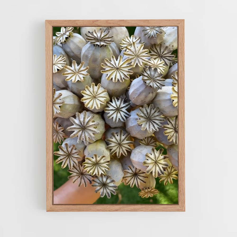 ap-poppy seeds-4 cadre Bois clair
