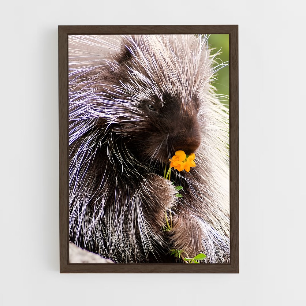 ap-porcupine-2 cadre Bois foncé