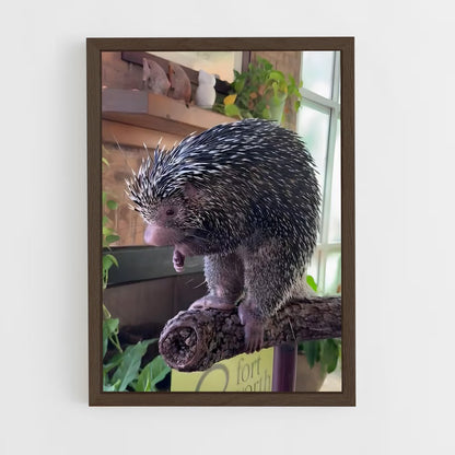 ap-porcupine-3 cadre Bois foncé