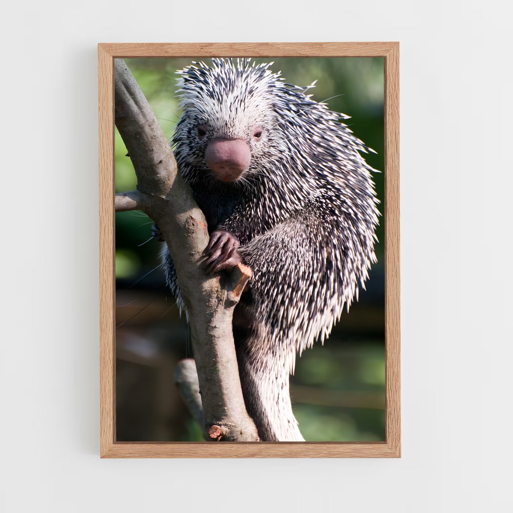 ap-porcupine-5 cadre Bois clair