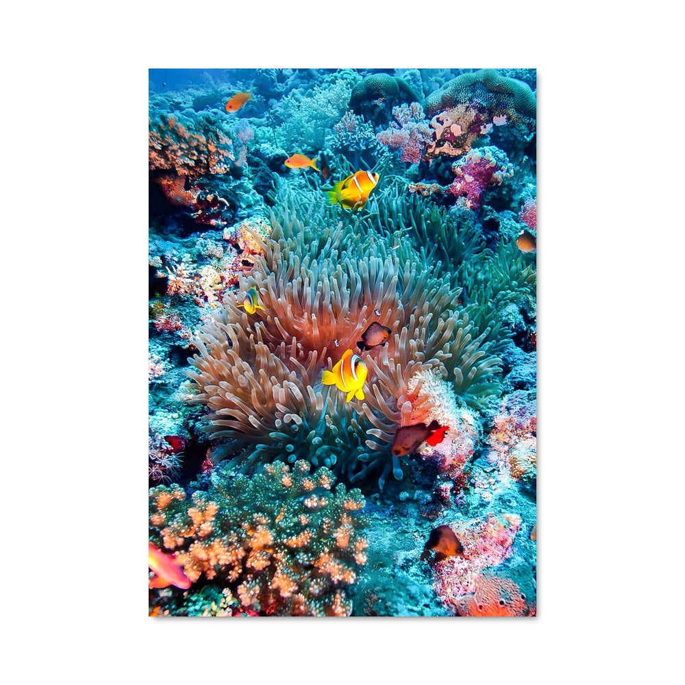 Poster Port sudan 87248